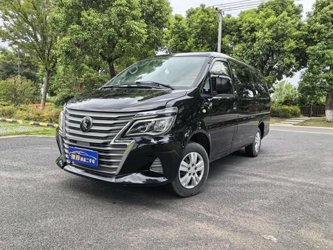 Forthing Lingzhi 2022