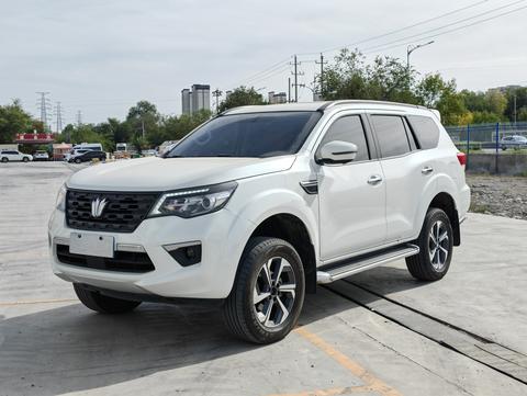 Dongfeng Paladin 2024