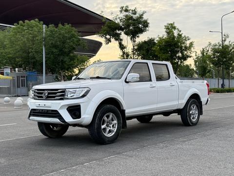 Dongfeng Rich 2019