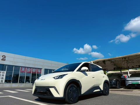 BYD Seagull 2024