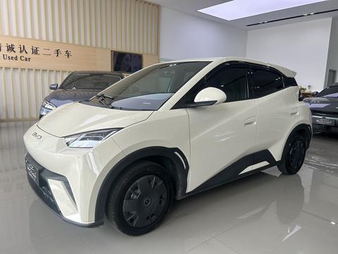 BYD Seagull 2024