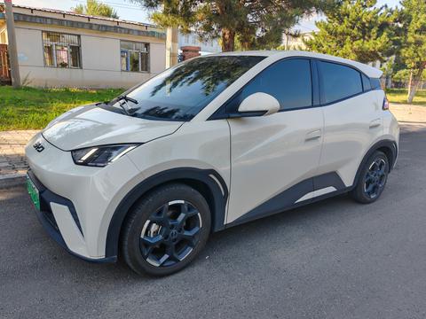 BYD Seagull 2025