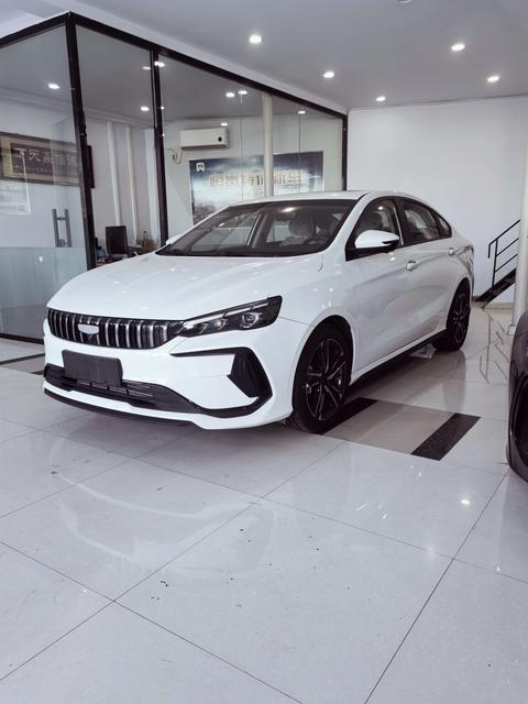 Geely Binray 2024