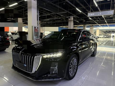 Hongqi H5 2024