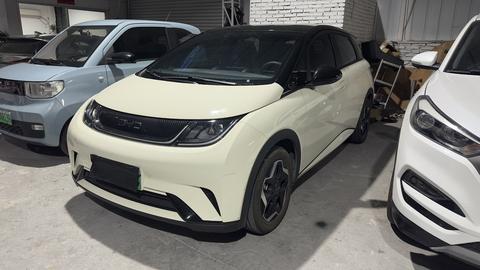 BYD Dolphin 2025