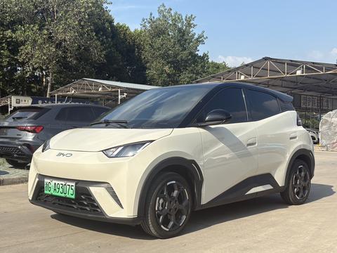 BYD Seagull 2025
