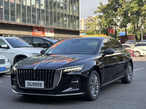 Hongqi H5 2024