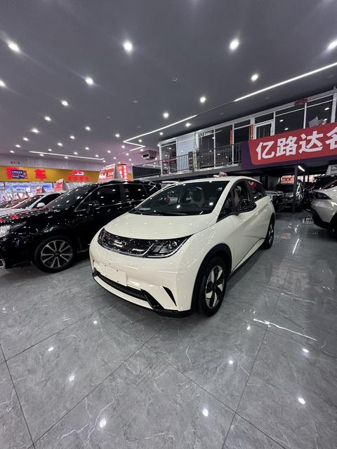 BYD Dolphin 2025