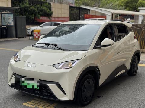 BYD Seagull 2024