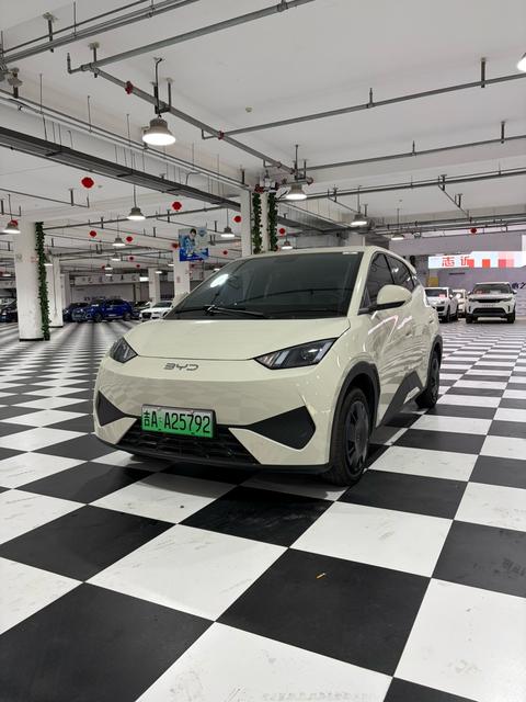 BYD Seagull 2025