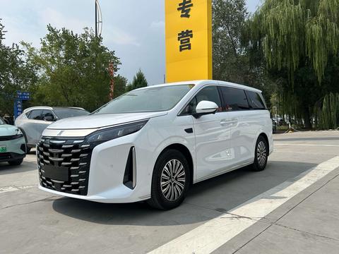 BYD Xia 2025