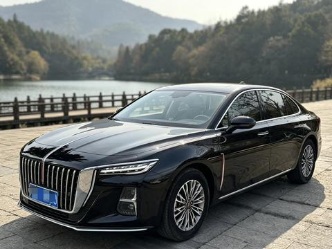 Hongqi H5 2024