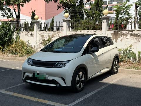 BYD Dolphin 2024