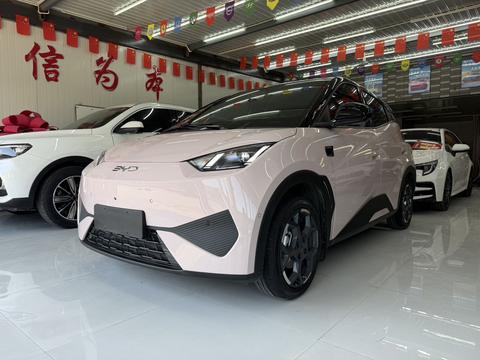 BYD Seagull 2025