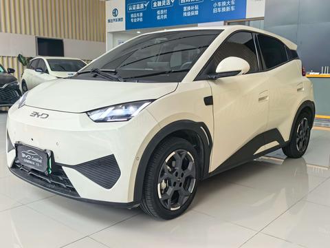 BYD Seagull 2025