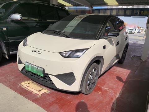 BYD Seagull 2025
