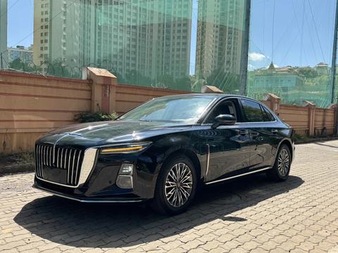 Hongqi H5 2023