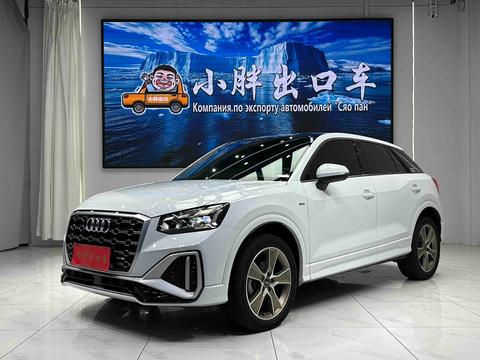 Audi Q2L 2022