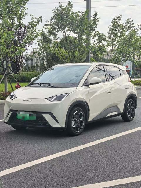 BYD Seagull 2024