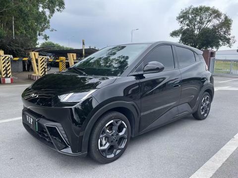 BYD Seagull 2024