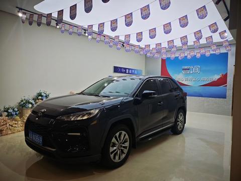 Toyota Wildlander 2022