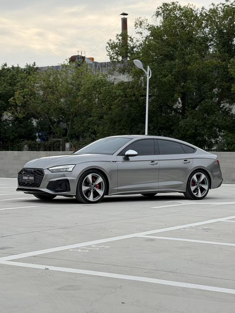Audi S5 2022