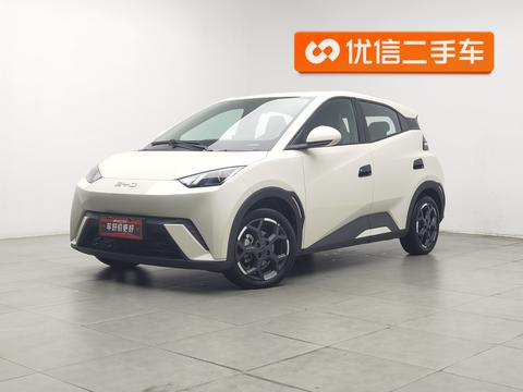 BYD Seagull 2025