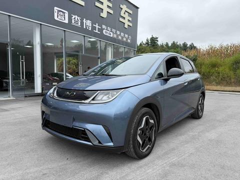 BYD Dolphin 2024