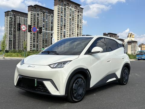 BYD Seagull 2025
