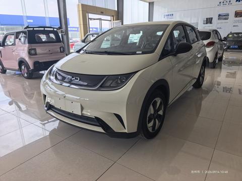 BYD Dolphin 2025