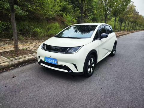 BYD Dolphin 2025