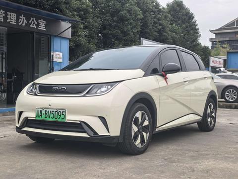 BYD Dolphin 2024