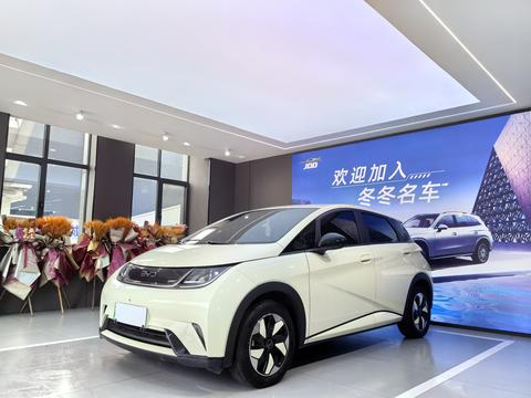 BYD Dolphin 2025