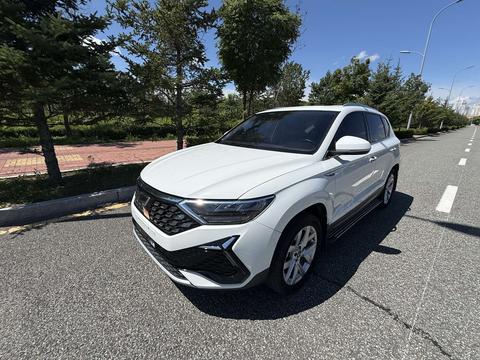 Jetta VS7 2022