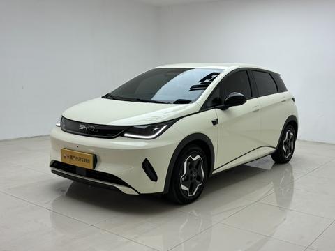 BYD Dolphin 2025