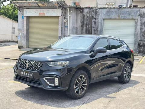 Wey VV5 2020