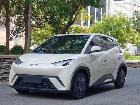 BYD Seagull 2024