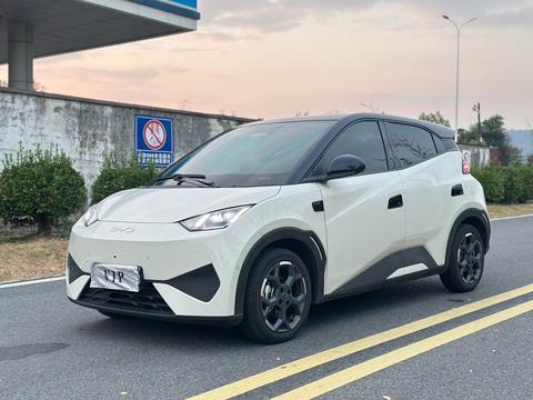 BYD Seagull 2025