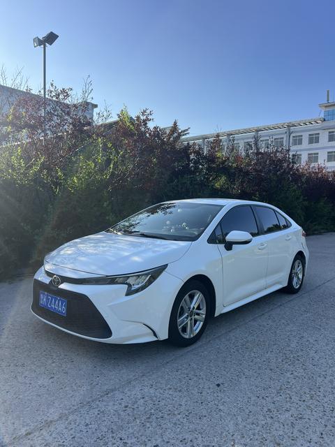 Toyota Levin 2019–2026