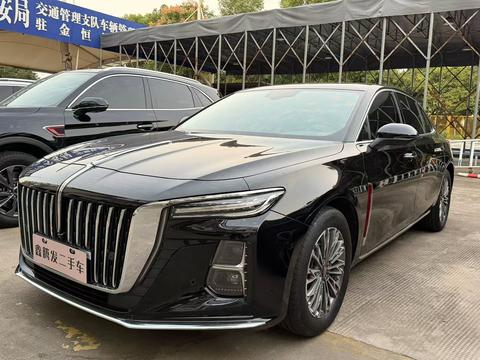 Hongqi H5 2024