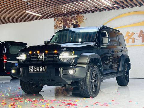 Tank 300 2024