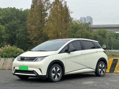 BYD Dolphin 2025