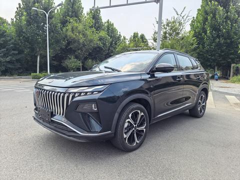 Dongfeng Haoji 2024