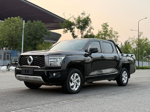 Great Wall King Kong Poer 2022