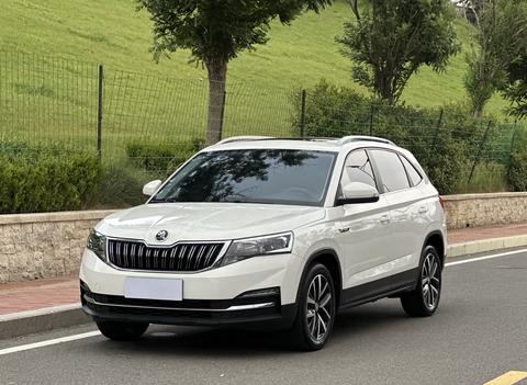 Skoda Kamiq 2022