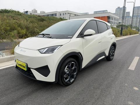 BYD Seagull 2025