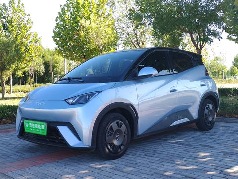 BYD Seagull 2024