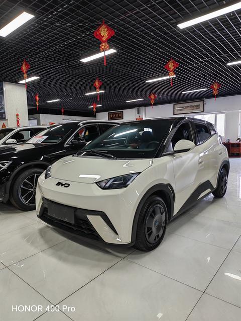 BYD Seagull 2024