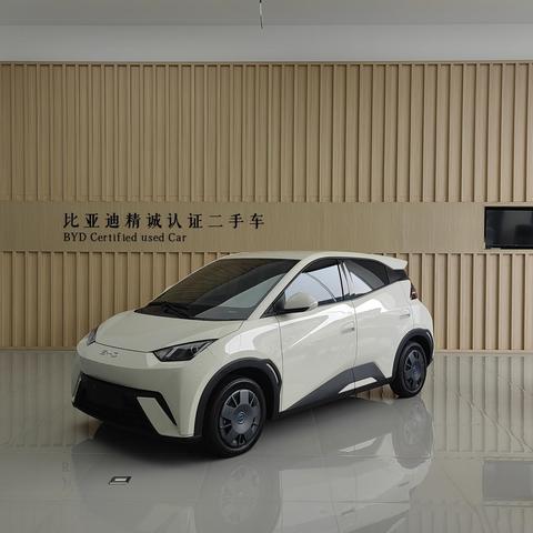BYD Seagull 2024