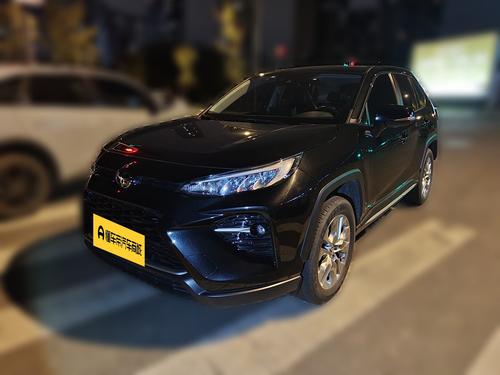 Toyota Wildlander 2021